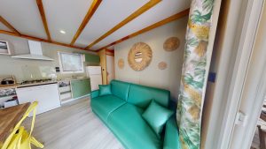 renovation salon ambiance tropicale